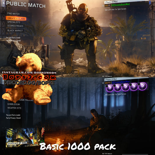 #2 Bo3 Basic 1000 Pack - Playstation 4/5